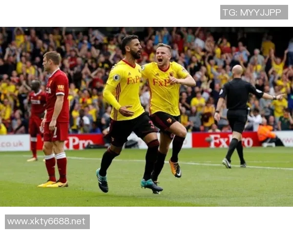 英超羽毛球战术解析武汉羽毛球队区域防守体系的创新与应用