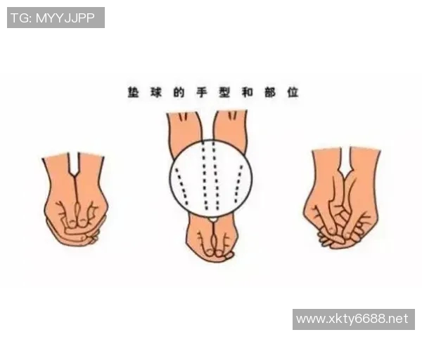 体育实时数据排球新手必看快速入门攻略助你轻松掌握基本技巧与战术