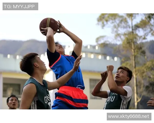 体育实时数据科学篮球比赛经验与训练方法的全面探讨与实践指南